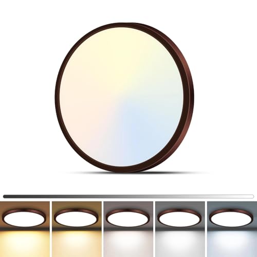 LED Flush Mount Ceiling Light