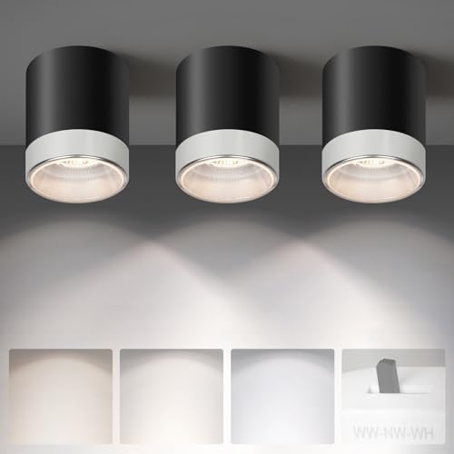 Ceiling Light Fixtures for Hallway Kitchen Entryway