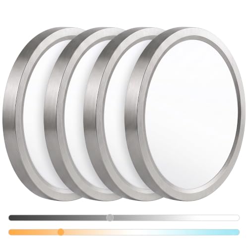 Flush Mount Ceiling Light