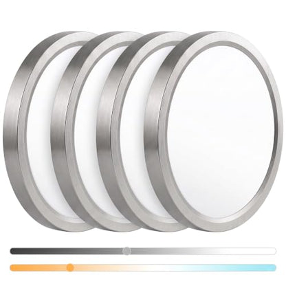 Flush Mount Ceiling Light