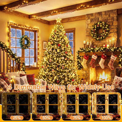 500 LED Christmas Lights Outdoor (Warm White / 500 LED)