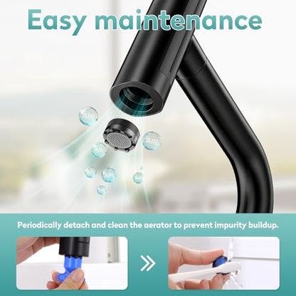 Kitchen Faucet with Glass Rinser
