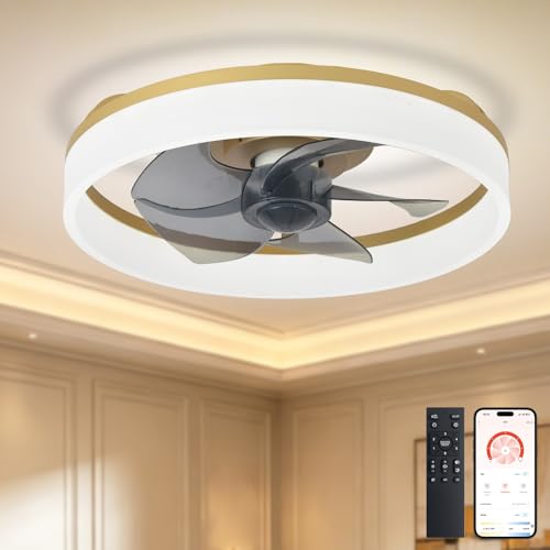 DLLT Modern Ceiling Fans with Lights