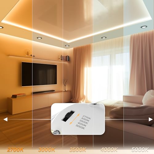 4 Inch LED Mini Surface Mount Light