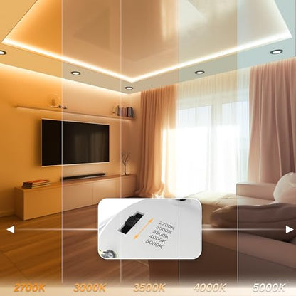 4 Inch LED Mini Surface Mount Light