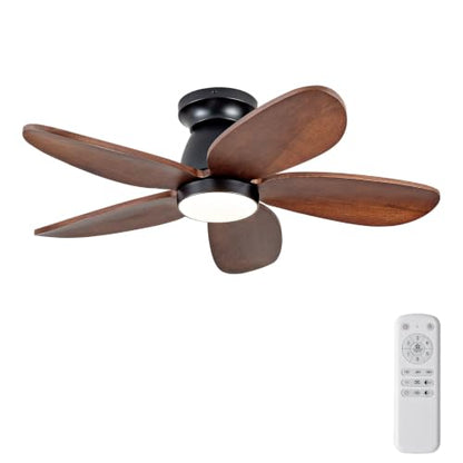 Ceiling Fan with Light