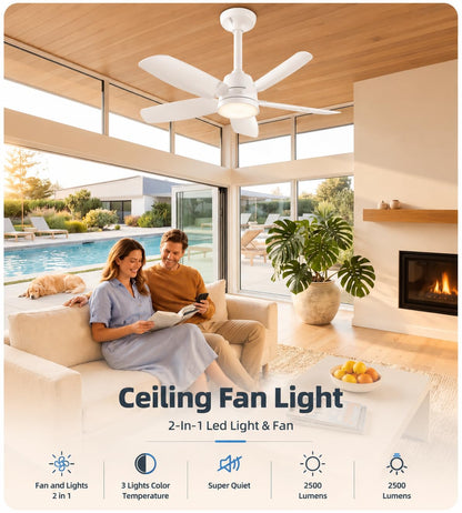 Ceiling Fan with Light (White / 28inch)