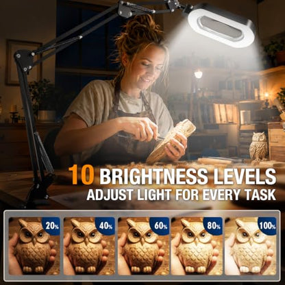 Magnifying Lamp with Light 12X