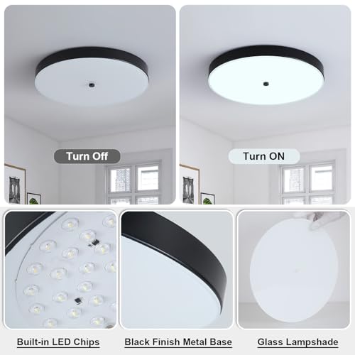 12" Black Flush Mount Ceiling Light Fixture