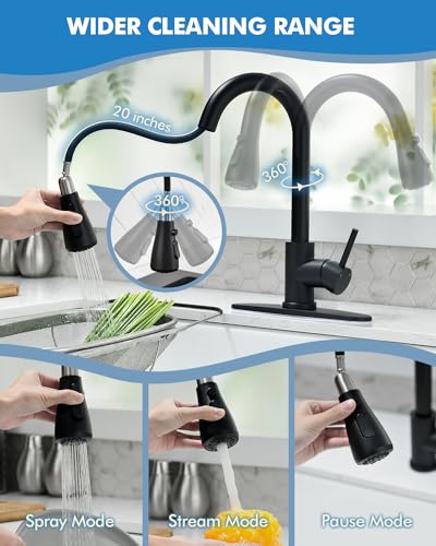 Kitchen Faucet with Pull Down Sprayer (Matte Black-05)