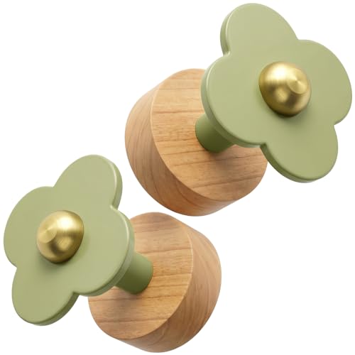 Upgreded Heavy Duty Coat Rack Wall Mount for Entryway (Green / 2 Hooks)