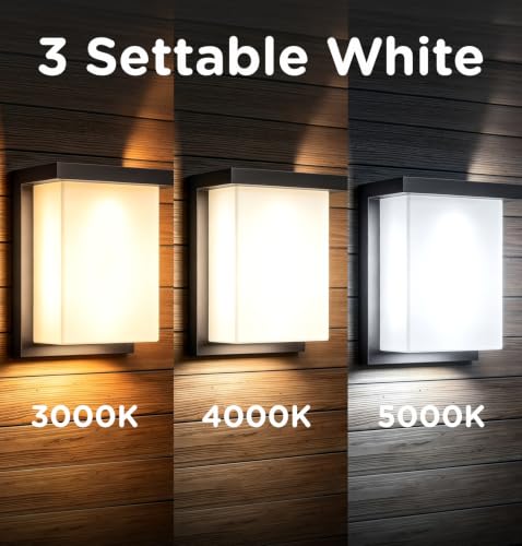 Outdoor Wall Sconce