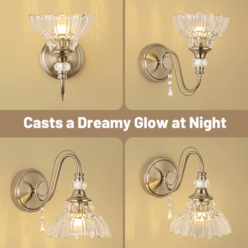 Bathroom Vanity Light Fixture with Floral Glass Shade