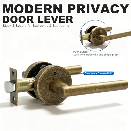 Privacy Door Handle with Lock (Vintage Bronze)