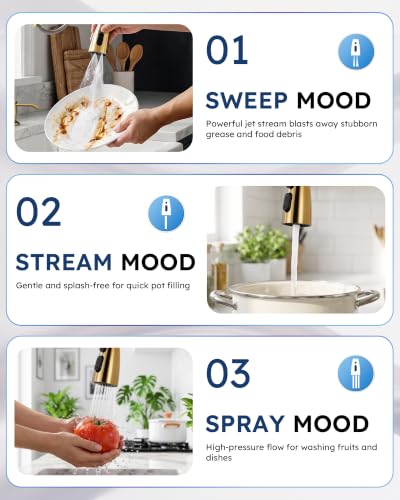 2 Handle Kitchen Faucet 4 Hole with Sprayer and Soap Dispenser