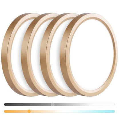Flush Mount Ceiling Light