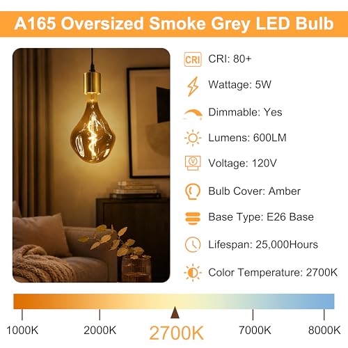 E26 Oversized Dimmable LED Light Bulb 2700K