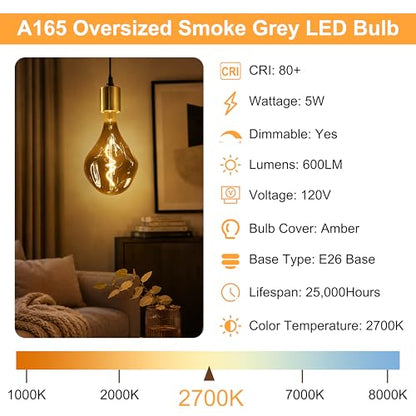 E26 Oversized Dimmable LED Light Bulb 2700K
