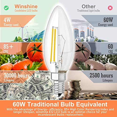 10 Pack E12 LED Light Bulb 60W Equivalent 2700K Warm White for Chandelier (10 Count (Pack of 1))