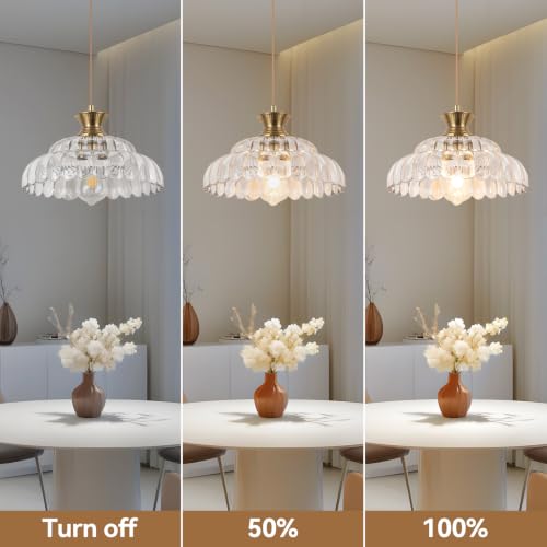 Pendant Light 11.8In Plug in Glass Vintage Chandeliers E26 Base Corded On