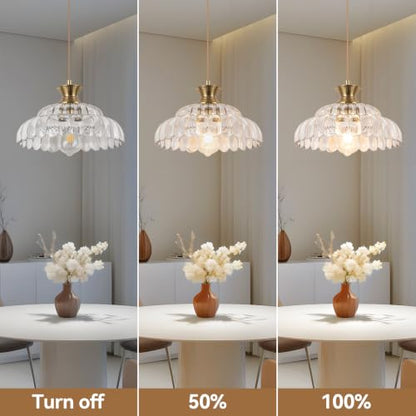 Pendant Light 11.8In Plug in Glass Vintage Chandeliers E26 Base Corded On