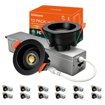 Gimbal LED Recessed Light (12P-Black / 2 Inches- Anti glare)