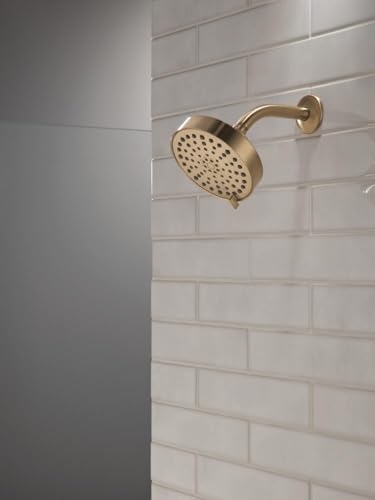 Modern 4 Setting Brushed Nickel Shower Head