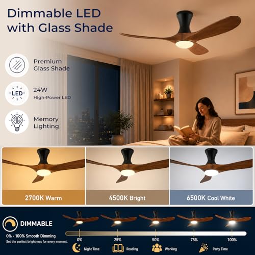 low profile ceiling fan with Light