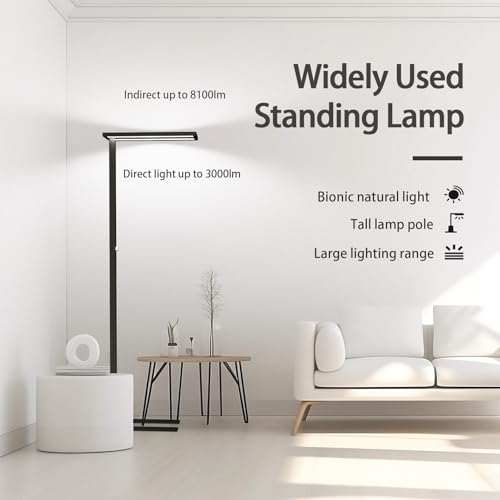 76" Led Floor Lamp (Black)