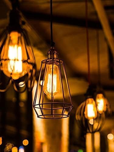 E26 LED Edison Bulbs 6