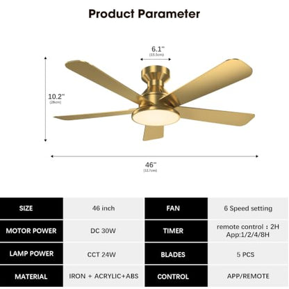 Ceiling Fans with Lights