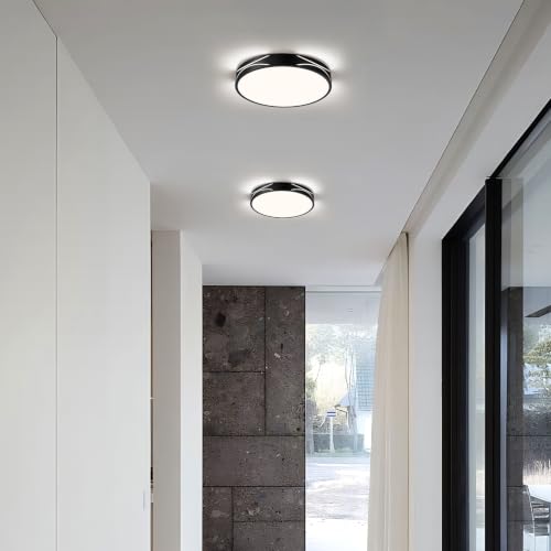 Modern Flush Mount Ceiling Light Fixture