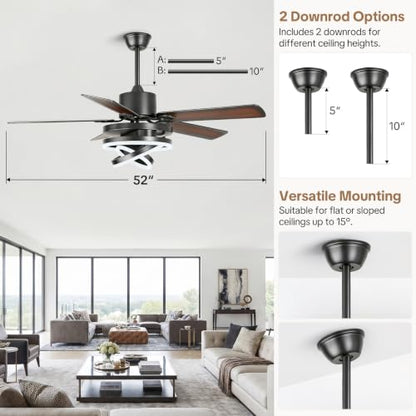 Ceiling Fans with Lights