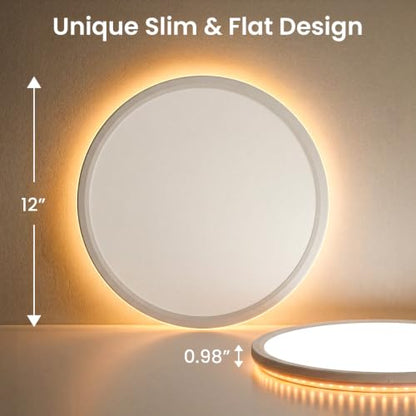 12in LED Ceiling Light with Remote Control Night Light