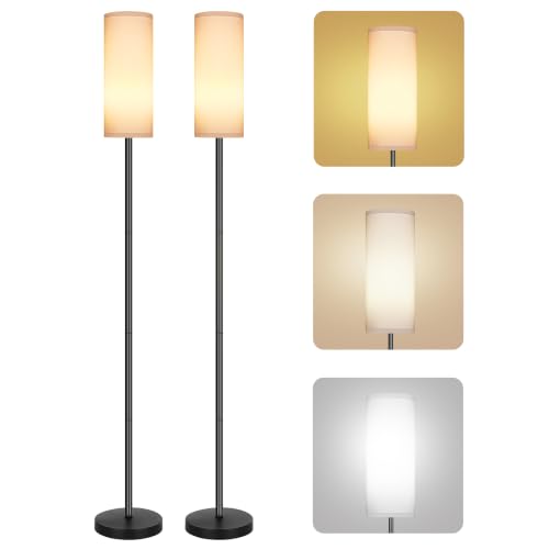 Floor Lamps 2Pack