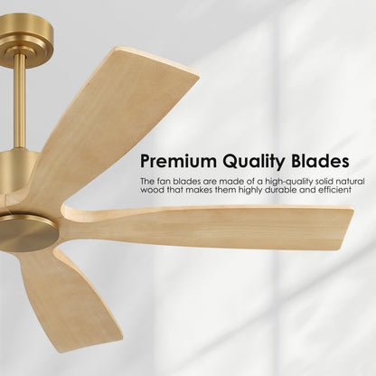 54 Inch DC Ceiling Fans without Light (Aged Brass and Natural Wood / 54")