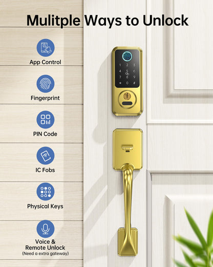 Smart Lock for Front Door (Brushed Gold)