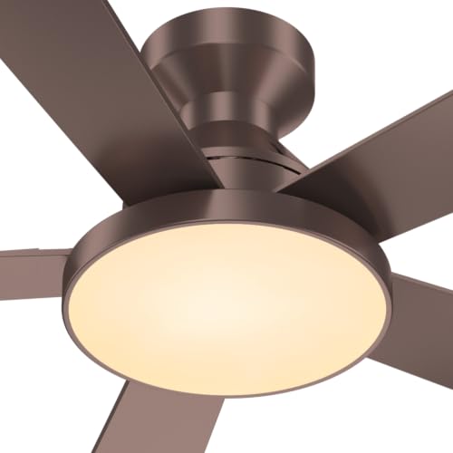 Ceiling Fans with Lights
