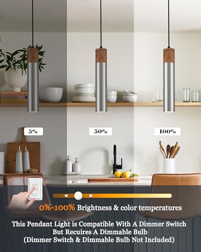 Modern Pendant Light