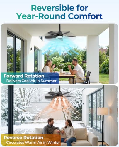 Outdoor Ceiling Fan with Light