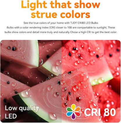 BR30 Flood Light Bulb Indoor