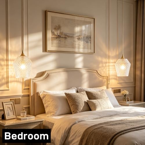 2Pcs Small Glass Lamp Shades (Clear)