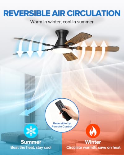 Ceiling Fans with Lights