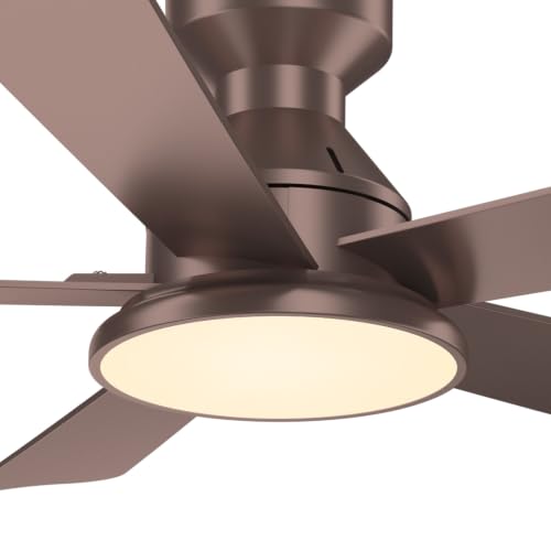 Ceiling Fans with Lights