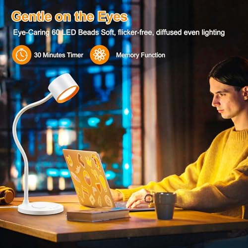 Desk lamp with USB Charging Ports