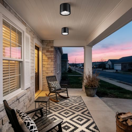 Flush Mount Dimmable Outdoor Ceiling Light Fixture