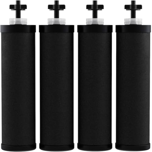 Water Filter Replacement