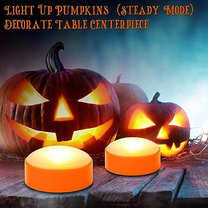 Pumpkin LED Lights with Remote and Timer