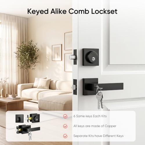 Exterior Door Lock Set