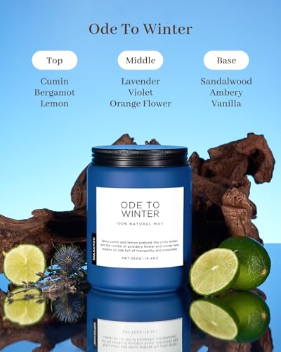 Ode to Winter Candles for Home Scented 19.4Oz Natural Soy Wax 110H (Large Jar / OdeToWinter)